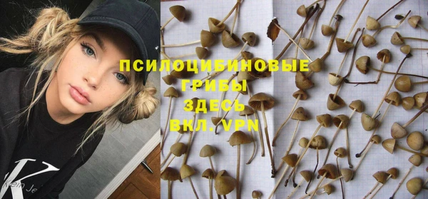 героин Алексин