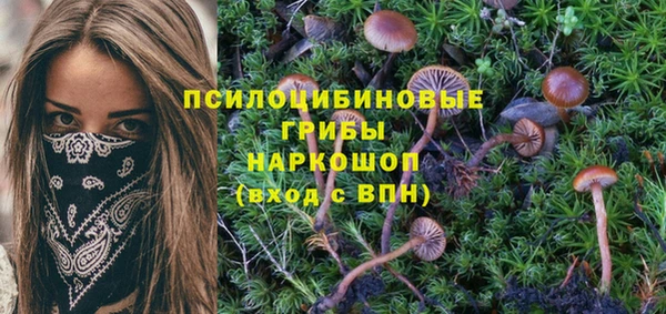 стаф Алексеевка