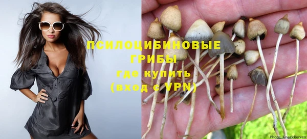 стаф Алексеевка